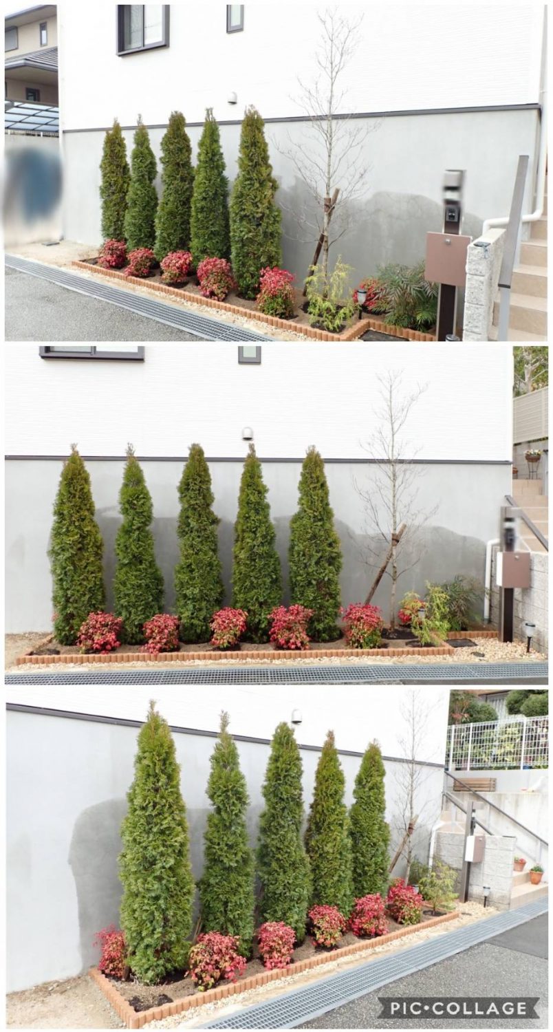 3月１日 ２日 ６日 宝塚市内 ａ様邸 花壇作成 植栽作業 宝塚市で造園工事 剪定 伐採のことならグリーン プラザへ